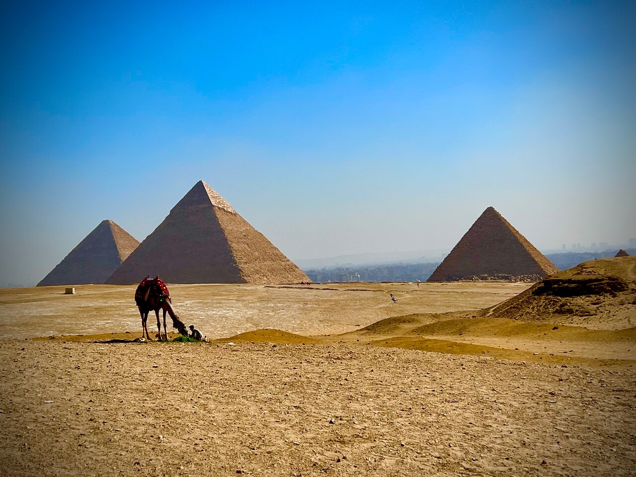 رحلة في القاهرة لمدة ساعة الي الاهرامات والمتحف المصري زوالبزار